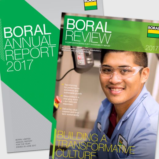 2017 annual reports